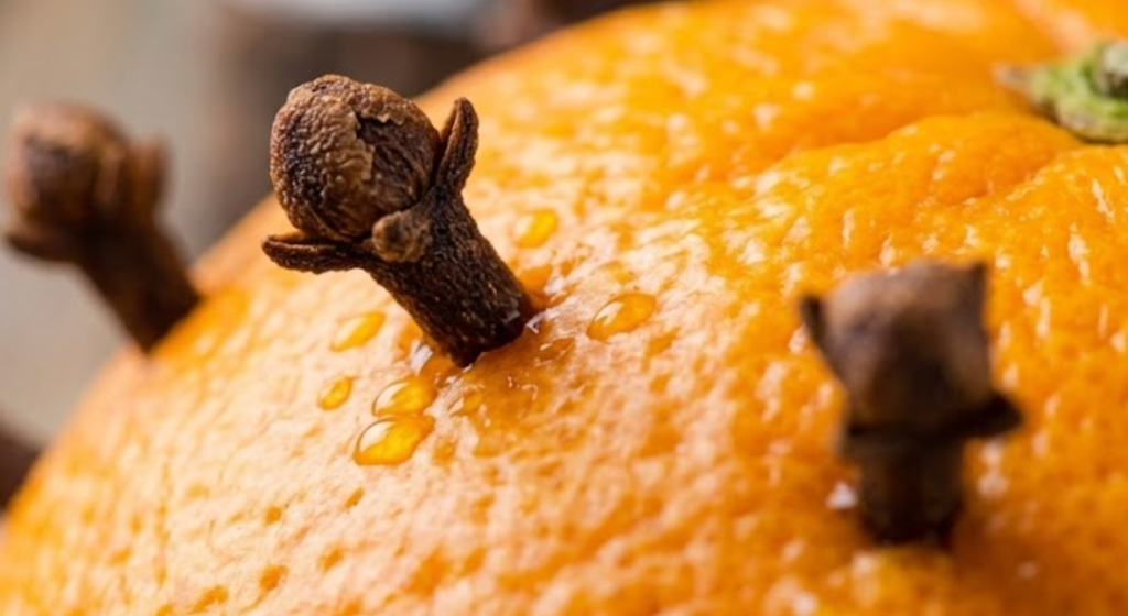 Laranja com cravinho